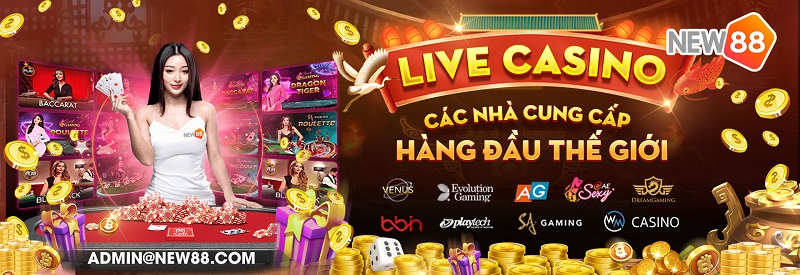 thong-tin-chung-ve-sanh-casino-new88